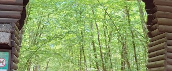 2025.05 - Międzyzdroje 8